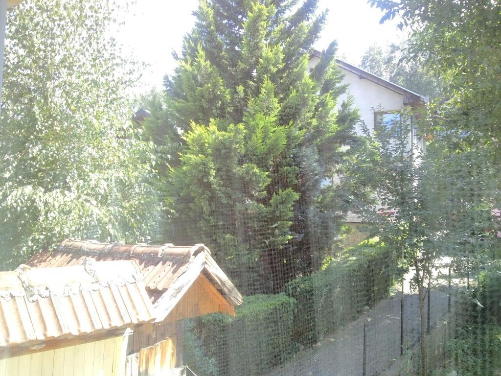 Blue * Sarajevo
